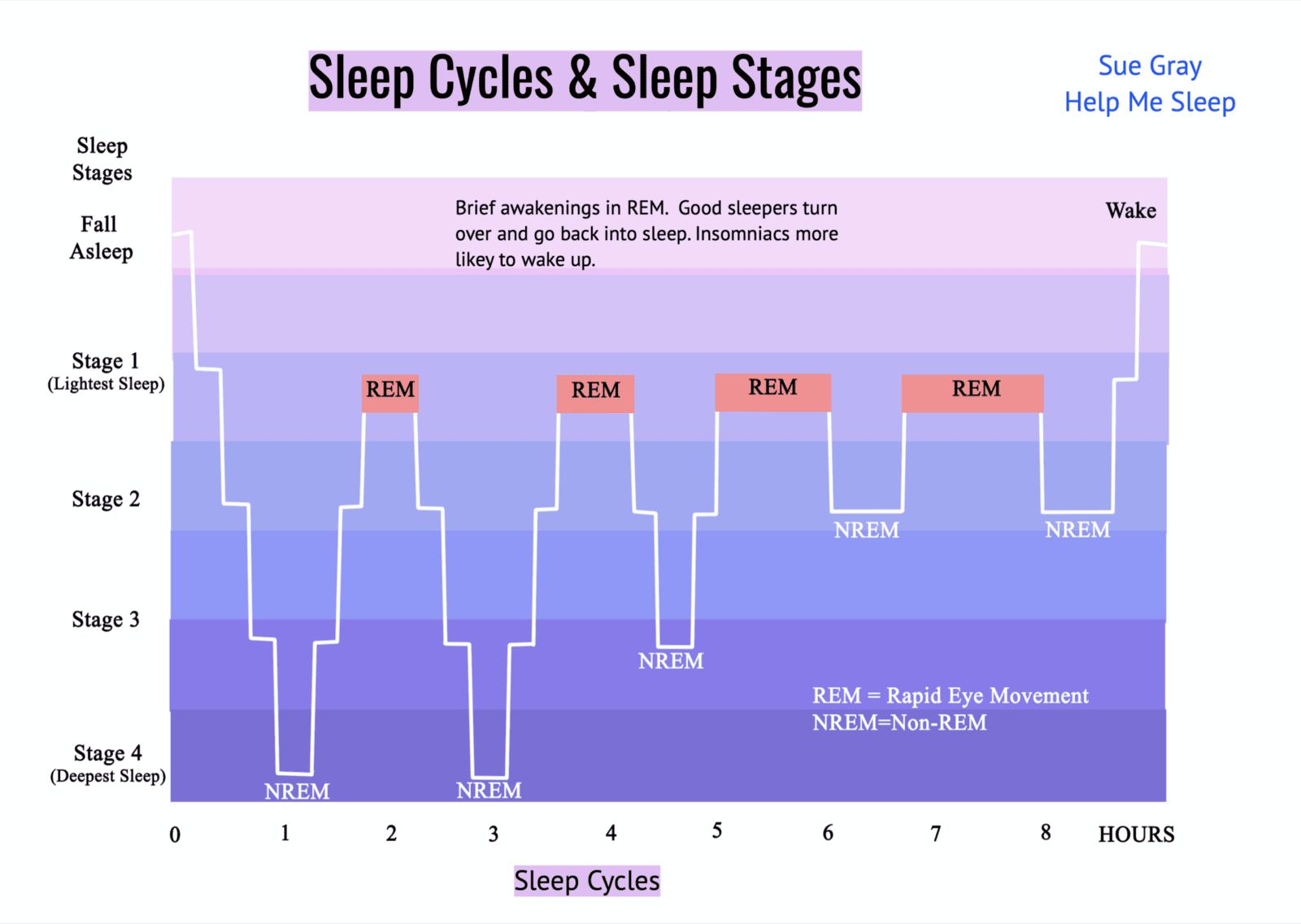 Sleep Stages and Sleep Cycles - Sue Gray, Help Me Sleep