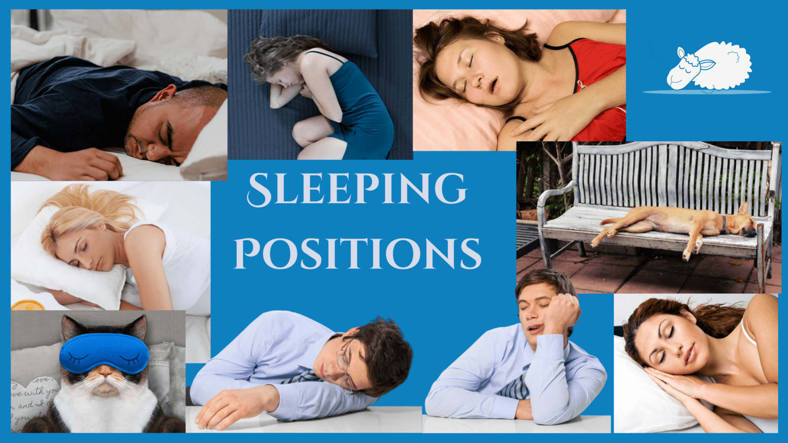 Image shows different ways of sleeping including - side sleeping, curling up in a foetal position, front sleeping, back sleeping and sleep sitting upright
