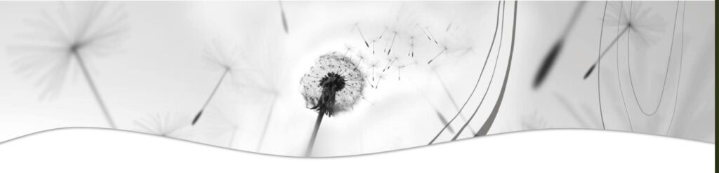 Let go of thoughts. like a flower lets go of it seeds