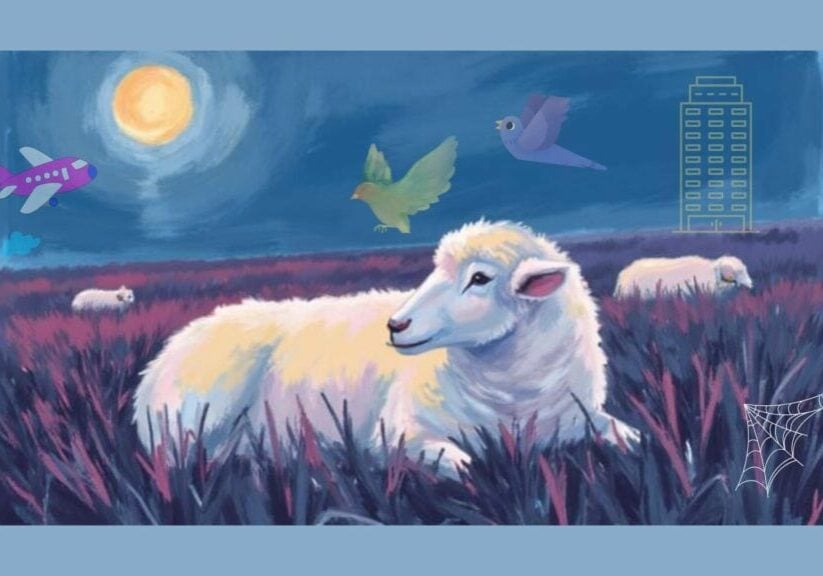 Sheep lying awake at night with calm thoughts despite fears