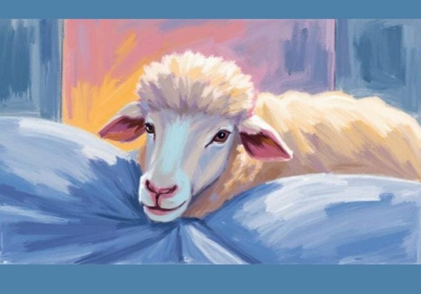 Sheep lying awake in bed at unusual hours, illustrating insomnia and shift work sleep problems